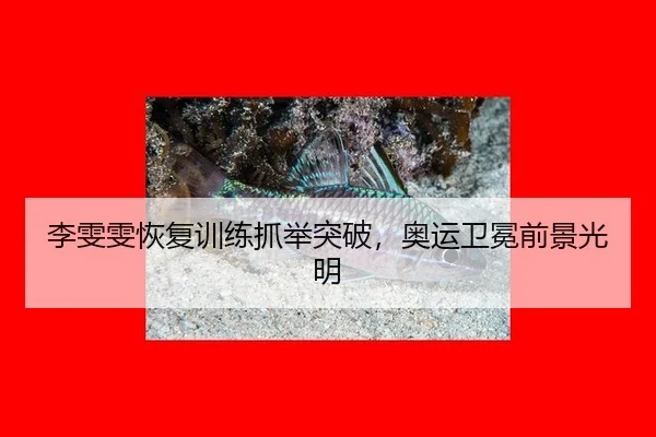 李雯雯恢复训练抓举突破，奥运卫冕前景光明