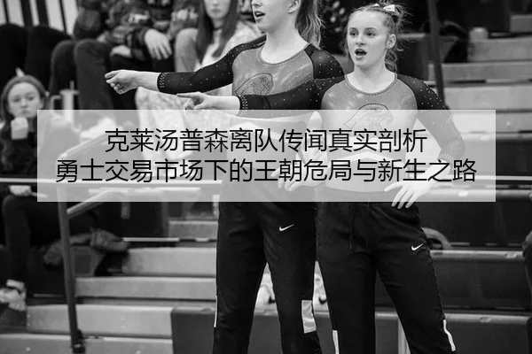 ke-lai-tang-pu-sen-li-dui-chuan-wen-zhen-shi-pou-xi-yong-shi-jiao-yi-shi-chang-xia-de-wang-chao-wei-ju-yu-xin-sheng-zhi-2-854.jpg