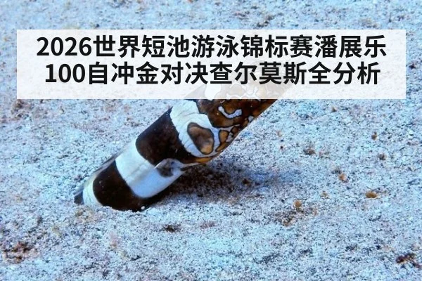 2026世界短池游泳锦标赛潘展乐100自冲金对决查尔莫斯全分析
